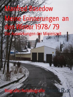 cover image of Meine Erinnerungen  an den Winter 1978/ 79